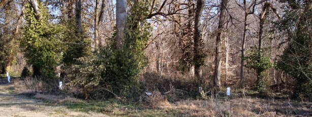 Right view of Rockport Pioneer Cemetery